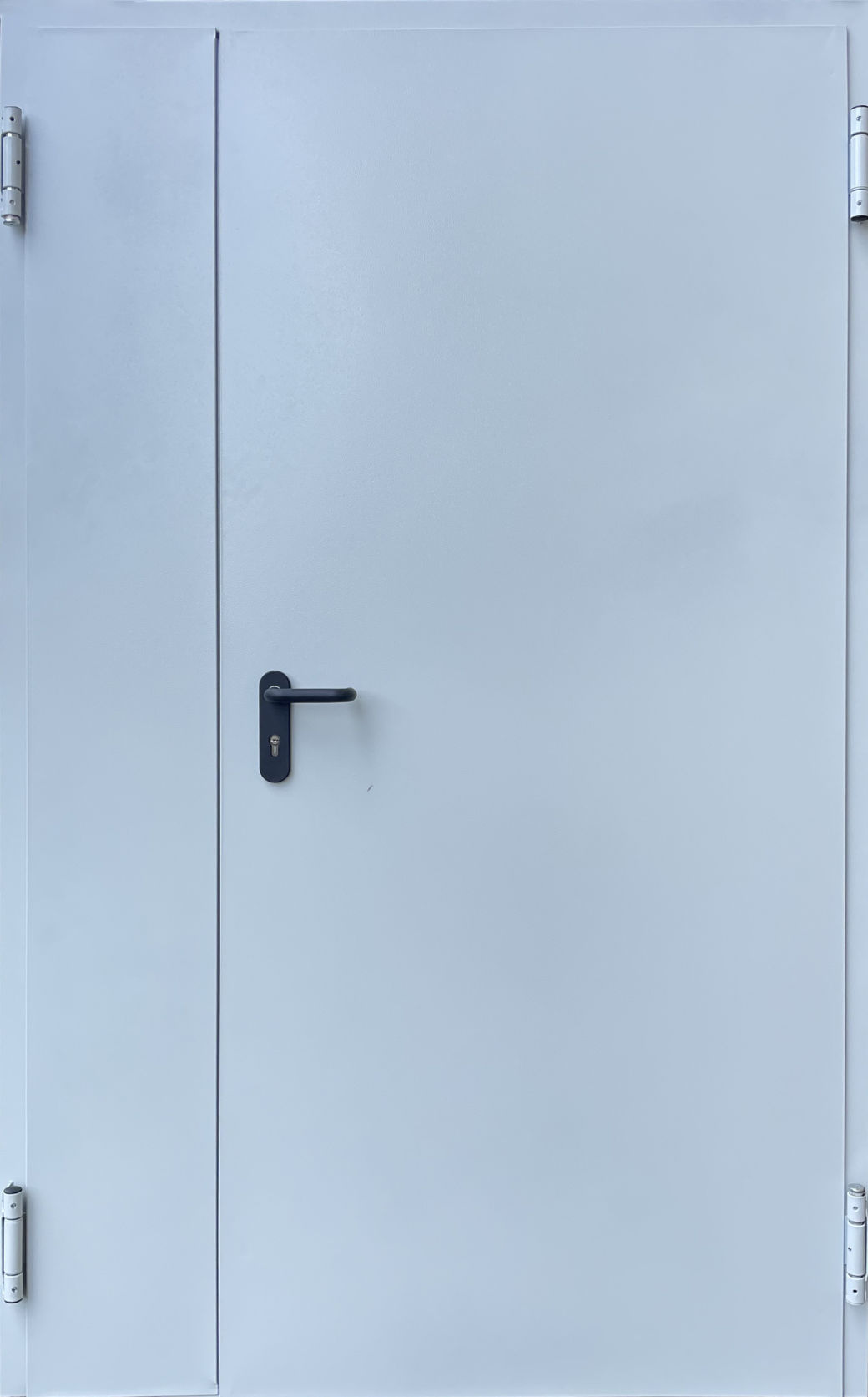 Вхідні двері Qdoors, Технічні ЕІ 60, Шагрень RAL 7035, 1200 мм.