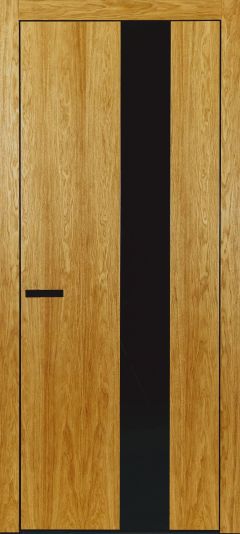 Міжкімнатні двері Danaprisdoors Loft S04 з фарбованим чорним склом