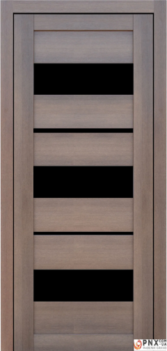 Міжкімнатні двері,  Portalino PL-05 Ecotop (38 мм), Санома золотиста (екошпон), BLK
