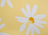 <h5>СТАНДАРТ</h5>