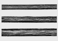 Виноградная лоза - Изображение 7